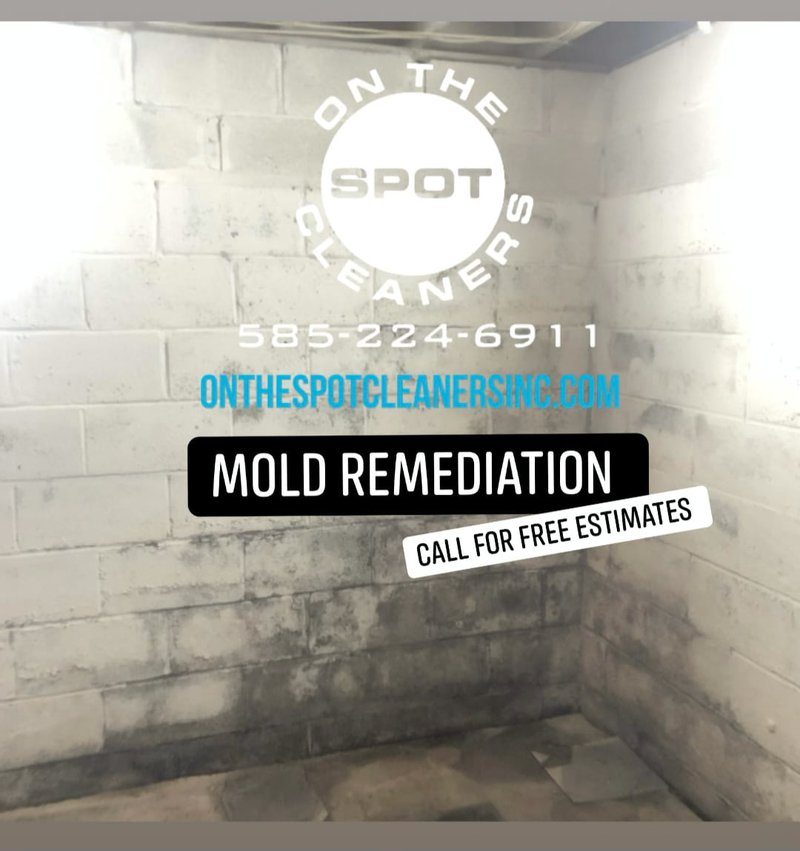 mold-remediation-1.jpg