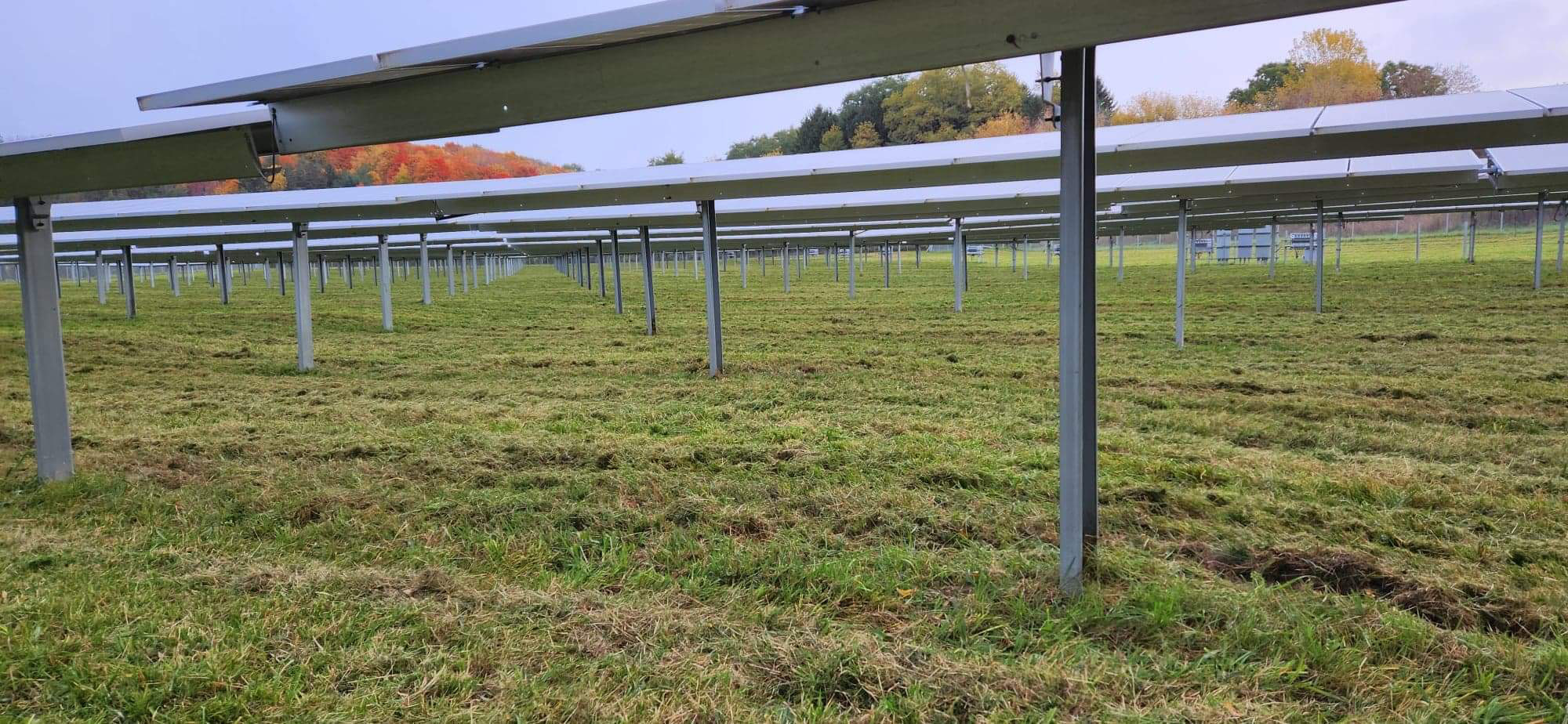 Photo of solar panels in a field