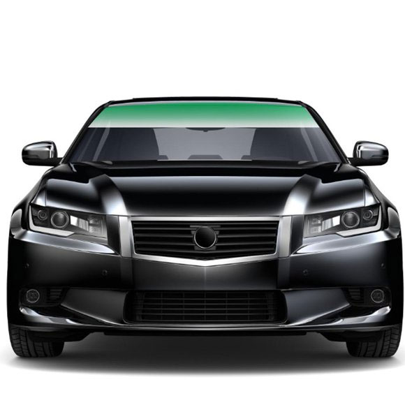 Free Windshield Strip